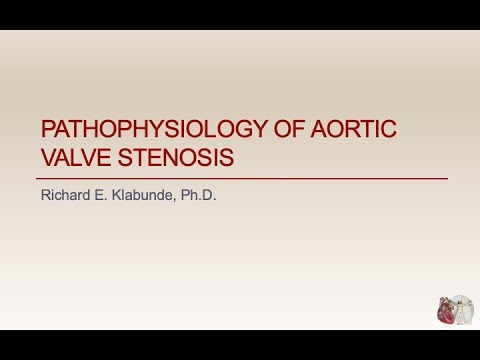 Aortic stenosis pathophysiology