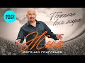 Евгений Григорьев-ЖЕКА - Пожелаю всем мира (Single, 2025)
