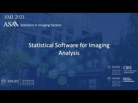 2021 SMI Conference - Session 3: Statistical Software for Imaging Analysis