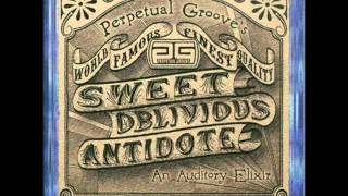 Perpetual Groove - Sweet Oblivious Antidote chords