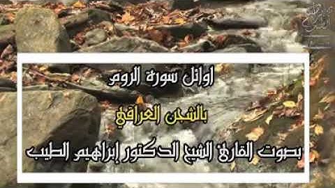 القارئ العراقي ابراهيم الطيب -- سوره الروم#صوت جميييل جدااا