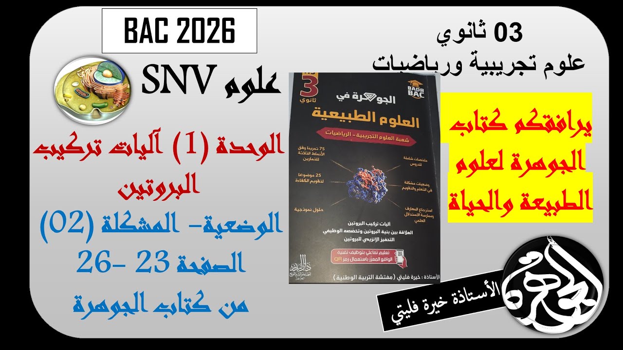 حل الوضعية المشكلة 2