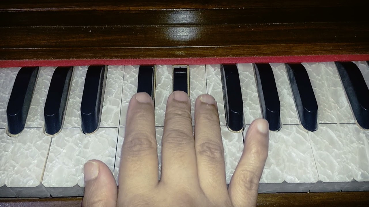 How to Learn Shabad#Madho Hum Aise tu Aisa with pramaan On Harmonium 🙏🙏