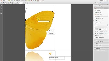 Adobe Acrobat How to Rotate an Image
