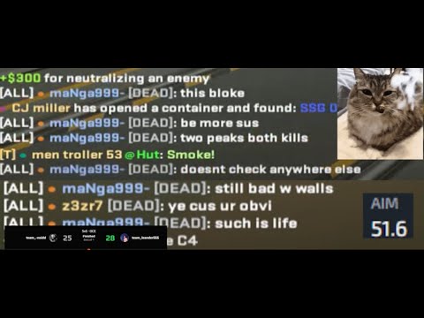 body shot merchant (clip dump)