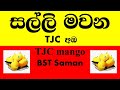 How to grow mango properly අඹ වගාව,TJC cultivation, BST Saman අඹ අස්වනු,ව්‍යවසායක අවස්ථා