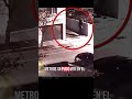 Esa cosa medía MÁS de 3 metros!! 😨😰 #misterio #paranormal