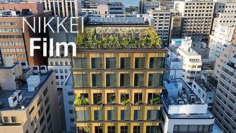 NIKKEI Film: Wooden skyscrapers in the city of the future