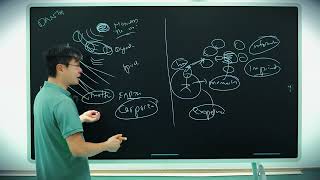 The Theory Of Everything Its Not What You Think - Prof. Jiang