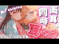【No Talking /耳かきASMR】寝落ち必須。心地いい音でたっぷり両耳同時耳かき【睡眠導入/睡眠用BGM/作業用BGM/Ear Cleaning】