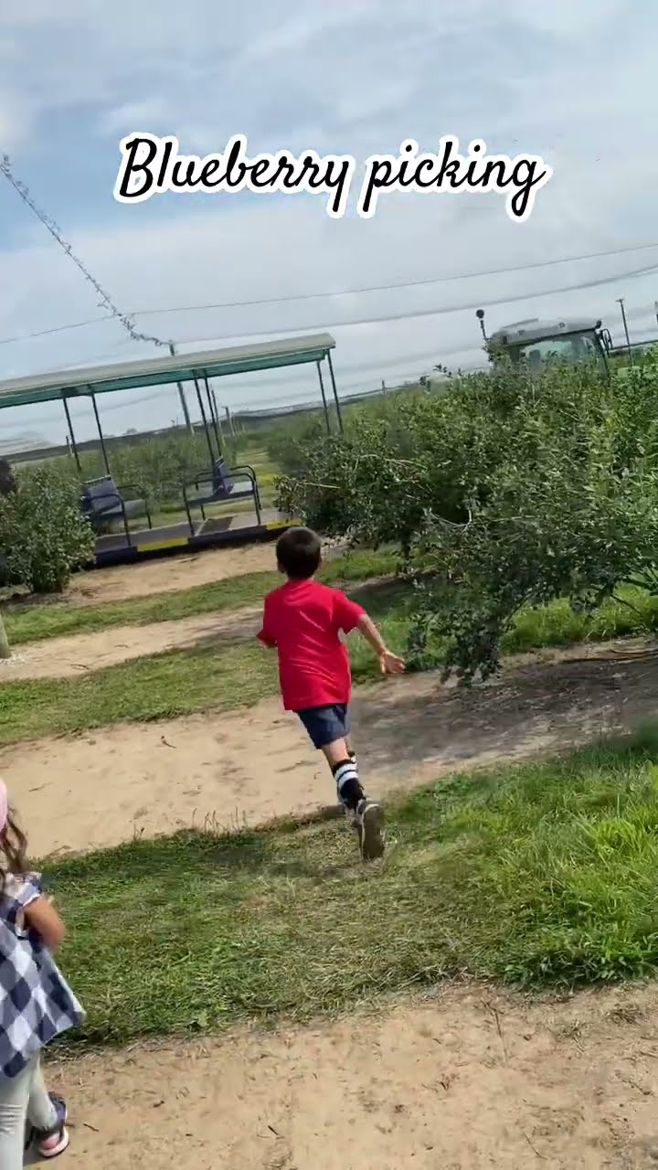 #jendmoore #adventure #blueberry #blueberryfarm #familyvlog #familytime #family #canadalife #filcan