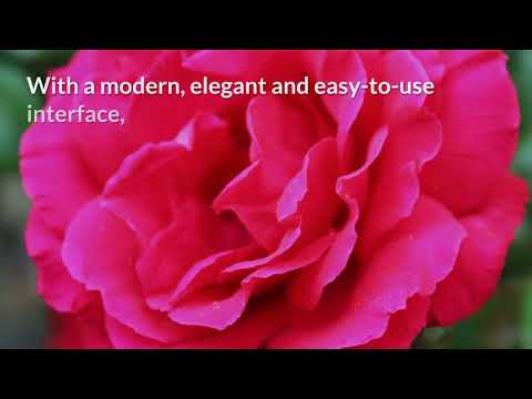 free reiki chakra healing music melodies therapy apps on google play