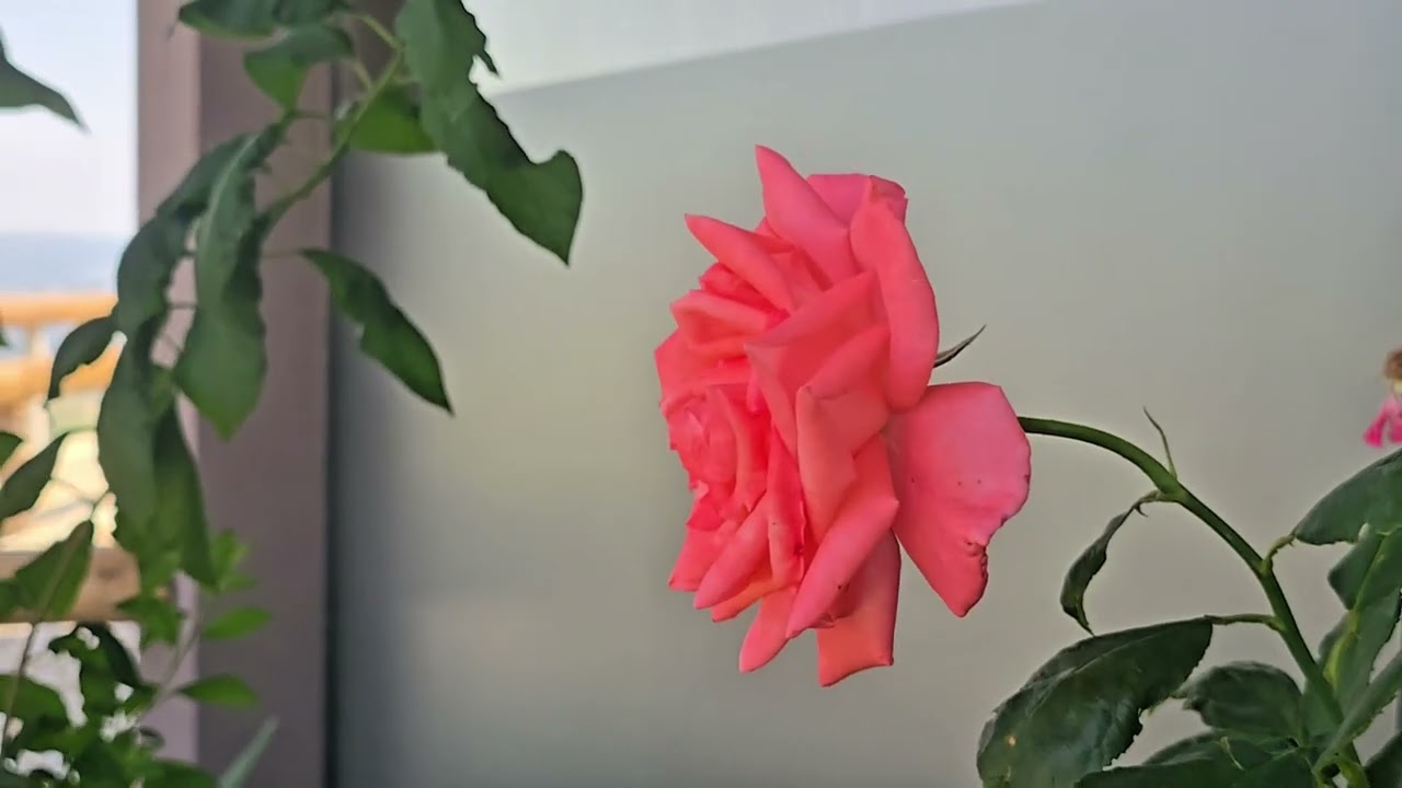 Refúgio Muas Nature | Parque do Alvão | Vila Real e arredores