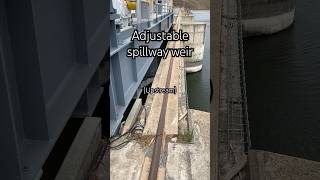 Surface passage for juvenile fish #fish #dam