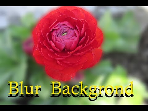 how to blur background in adobe photoshop . in hindi