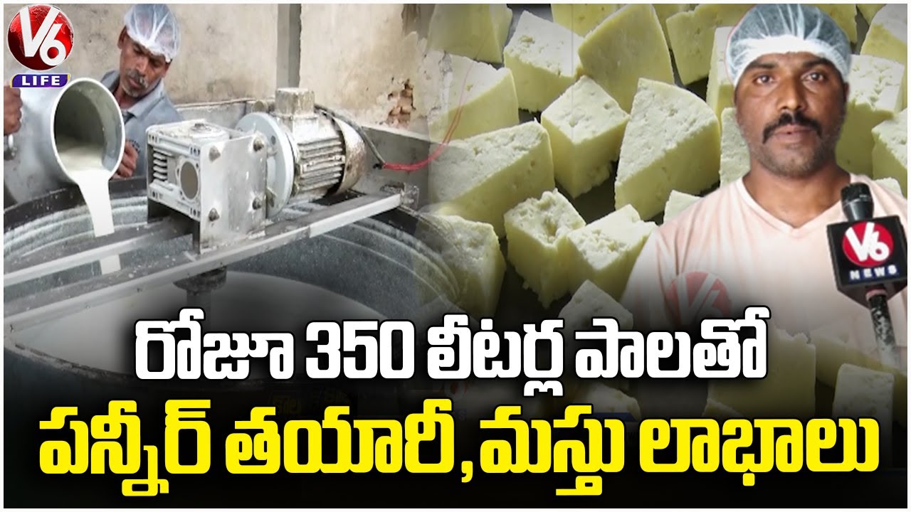 Huge Profits With Paneer Business |  Yadadri Bhuvanagiri   | V6 Life