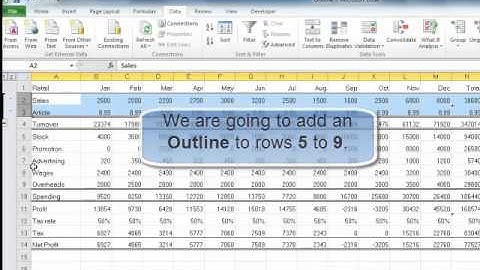 MS Excel 2010:Working with Outlines