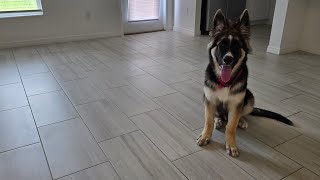Home Depot Tile and Grout Cleaner Rental 60 for 4 hours