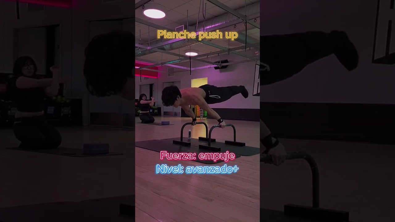 Top 5 estáticos según su nivel!! 