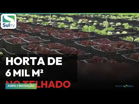 Shopping de São Paulo transforma telhado em horta de 6 mil m²