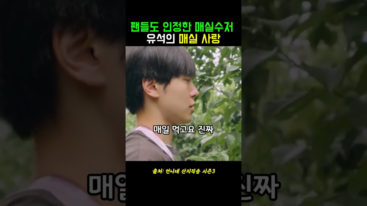 팬들도 인정한 매실수저 남자의 매실 사랑
