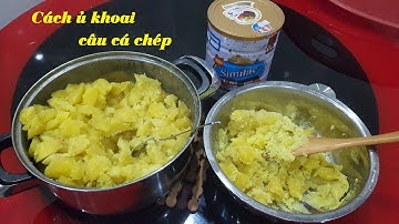 Hướng dẫn cách ủ khoai làm mồi câu cá chép không bị hỏng