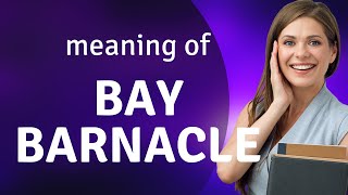 Understanding "Bay Barnacle": A Deep Dive into English Phrases