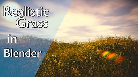 How to Make a Realistic Grass Field in Blender