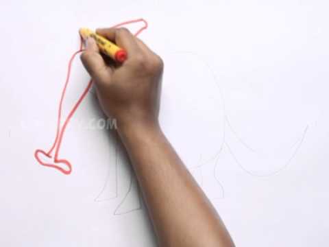 Como desenhar um Aardvark