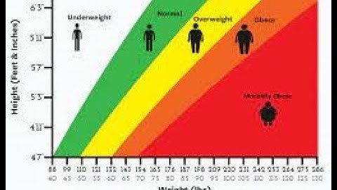 BMI calculator | C++ |