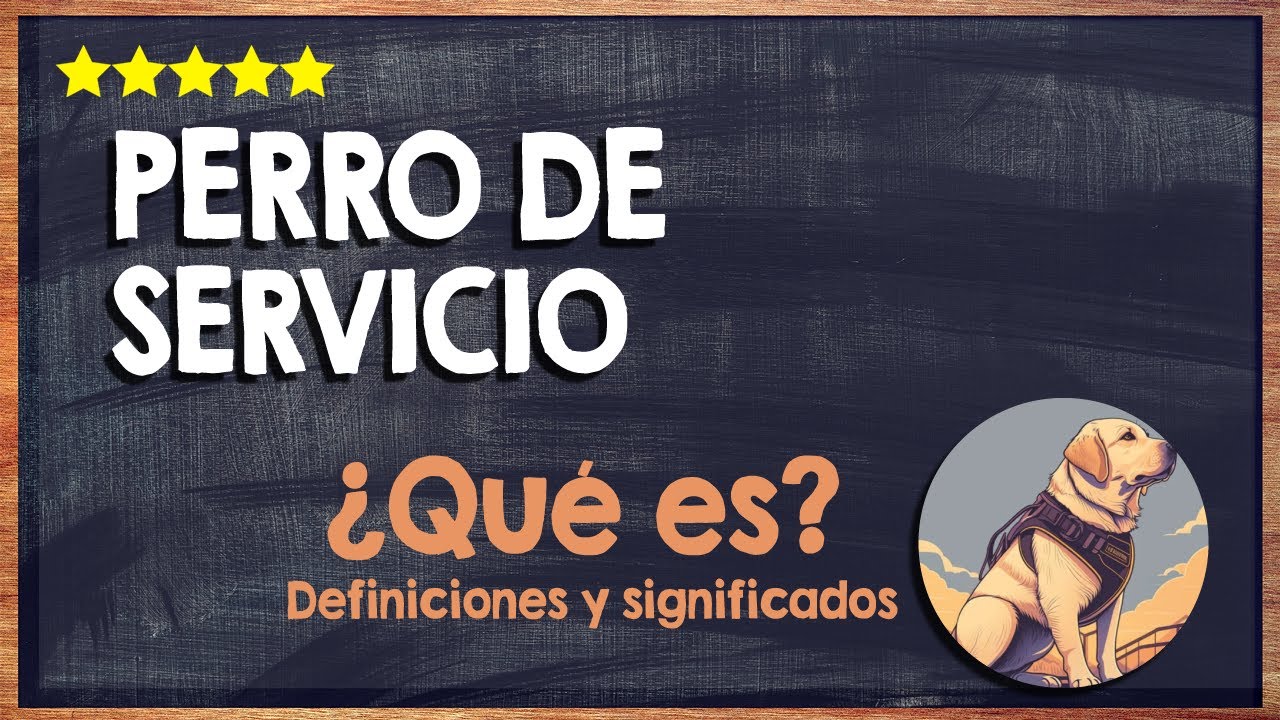 🐶 ¿Qué es un Perro de Servicio? - Razas, Función y Propietarios de Estos Animales 🐶