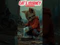 poor cat life #viralvideo#aivideo#sharts#remix