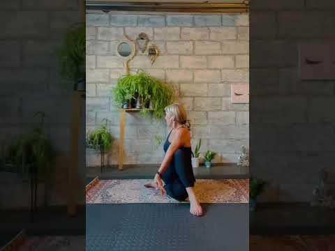 Ardha Matsyendrasana - Half Lord of the Fishes Pose Yoga How to - Yoga for Beginners
