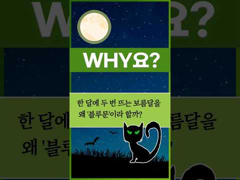 [<strong>Why요</strong>?] 한 달에 두 번 뜨는 보름달을 왜 &amp;#39;블루문&amp;#39;이라 할까? #shorts