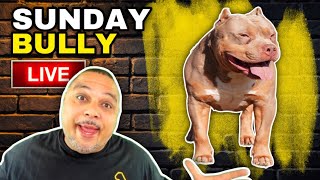 25 Amazing Things About Dogs | American Bully XL | Dog Podcast