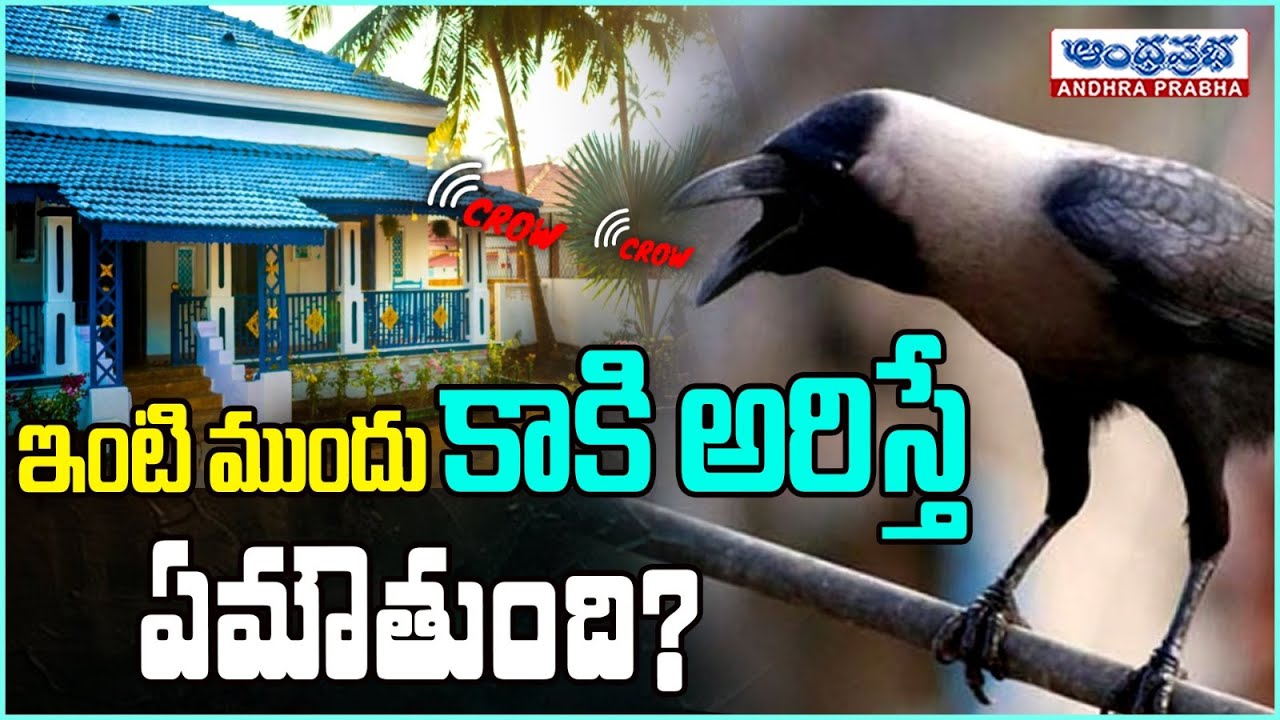 ఇంటి ముందు కాకి అరిస్తే ఏమౌతుంది? | Inti Mundu Kaki Ariste..? | Andhraprabha Bhakthi