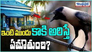 Download lagu ఇంటి ముందు కాకి అరిస్తే ఏమౌతుంది? | Inti Mundu Kaki Ariste..? | Andhraprabha Bhakthi