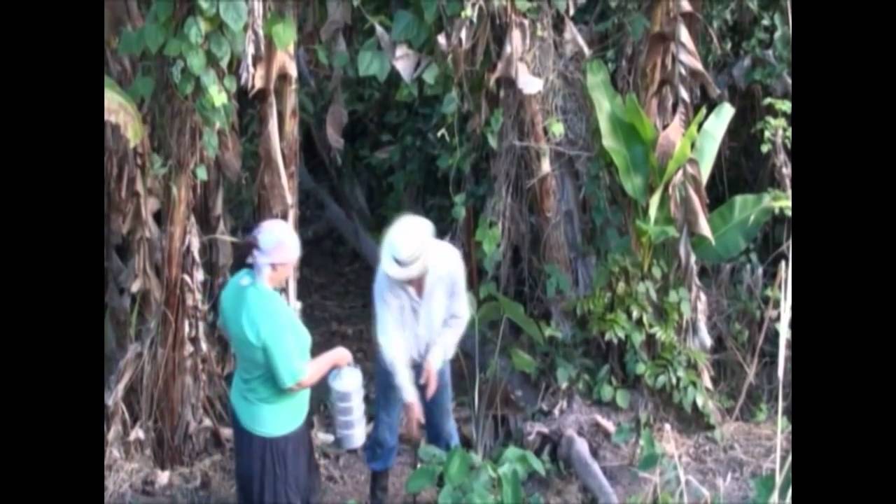Victor Rosario - La Vida Del Jibarito.mp4