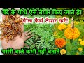 गेंदा फूल के पौधे/नर्सरी आप भी आसानी से तैयार कर सकते हो | How to grow MARIGOLD from seed