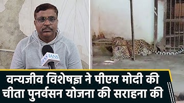 Wildlife Expert Praises PM Modi’s Cheetah Reintroduction Initiative on International Cheetah Day