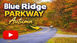 Blue Ridge Parkway Fall Colors 2025 🍁 | America’s Most Beautiful Scenic Drive in Autumn |4K Relaxing