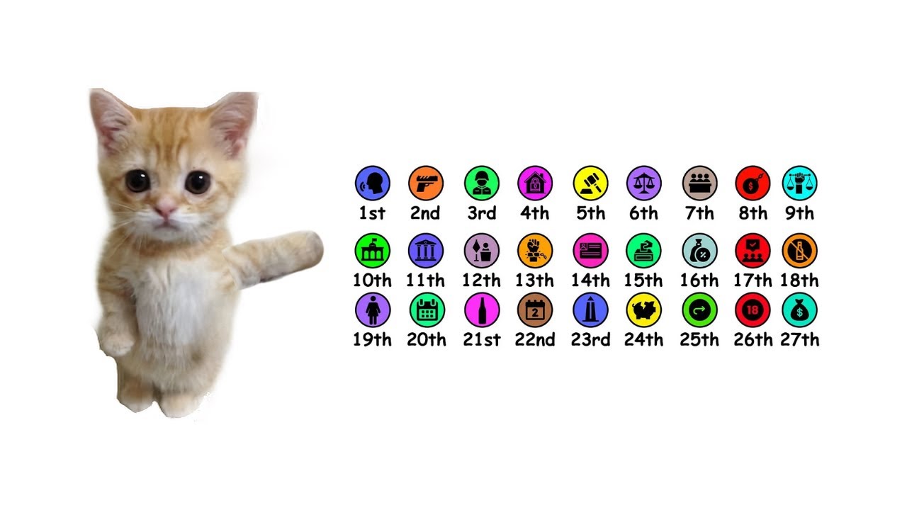 All amendments explained by cats