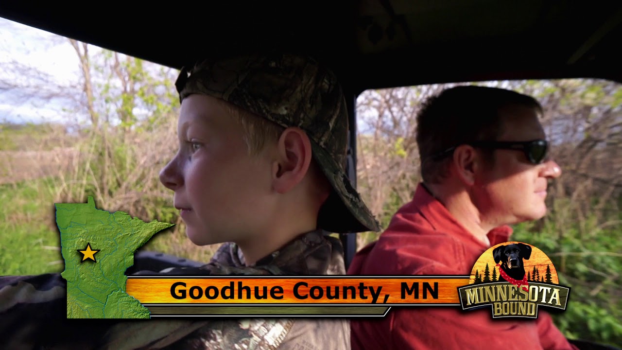 Minnesota Bound | Dancing Western Grebe