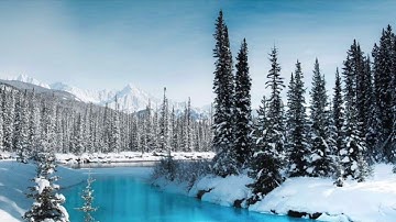 من سورة الفرقان للقارئ شريف مصطفى 😴💛 _ Surat al -Furqan sharif Mustafa