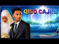 QISO CAJIIB