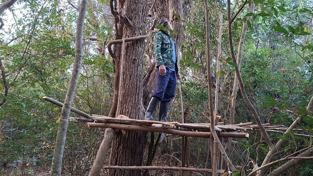 เดินป่า วันนั้นฝนตกหนักรีบเขาป่ามาดูนั่งห้างที่ทำไว้ว่าเป็นยังอยู่ไหม