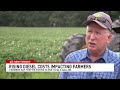Rising diesel and fertilizer prices amid Iran war squeeze Florida farmers' profits