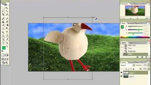 Adobe Photoshop cs2 beginning tutorial_1