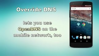 Override DNS promo Open DNS (us) screenshot 4