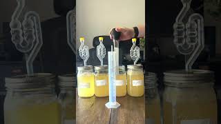 DOES YEAST TYPE MATTER WHEN MAKING MEAD? ATTEMPT 2 (PART 2)